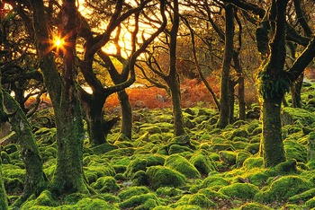 October Sunset Cwm Bychan.jpg